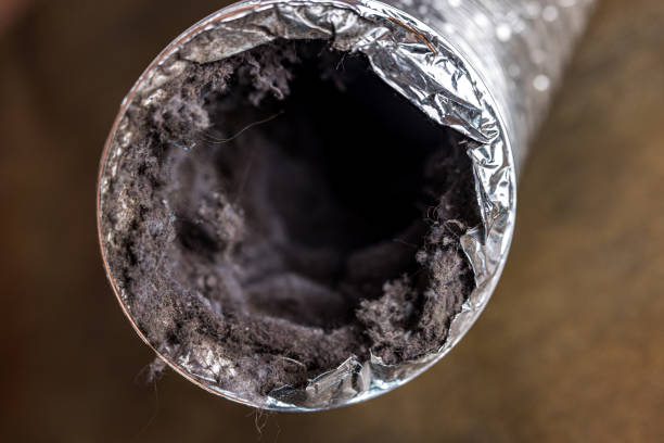Best Air Duct Mold Removal  in Hokes Bluff, AL