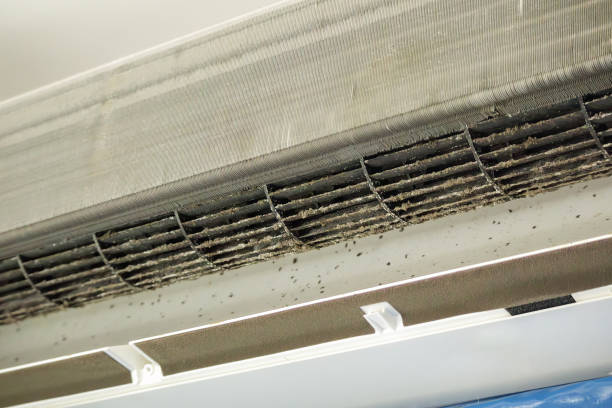 Best HVAC System Cleaning  in Hokes Bluff, AL