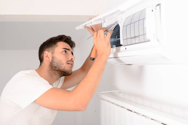 Air Duct Mold Removal in Hokes Bluff, AL